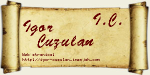 Igor Ćuzulan vizit kartica